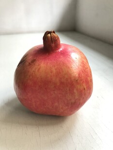 石榴