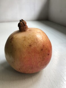 石榴