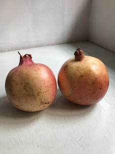 石榴