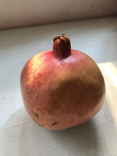 石榴