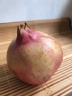 石榴