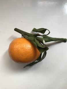 桔子 橘子