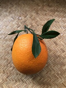 橙子 脐橙