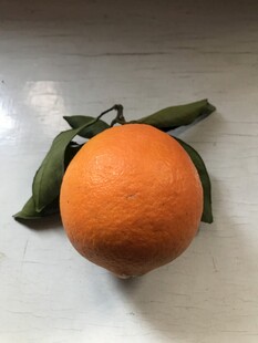 橙子 脐橙