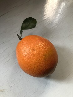 橙子 脐橙