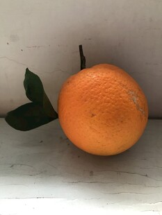 橙子 脐橙 