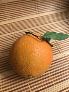 橙子 脐橙 