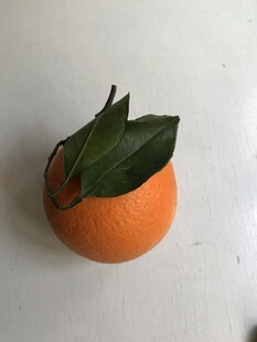 橙子 脐橙 