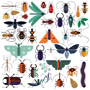 昆虫素材 