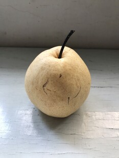 雪梨