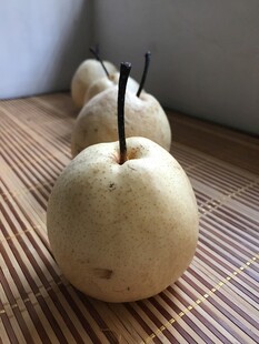雪梨