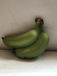 香蕉