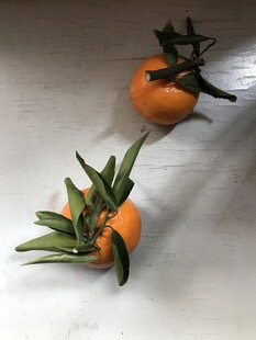 桔子 橘子