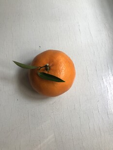 桔子 橘子