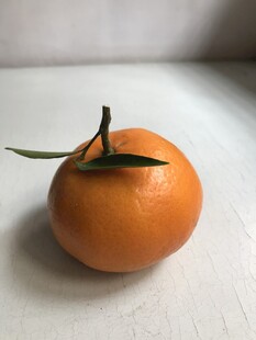 桔子 橘子