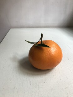 桔子 橘子