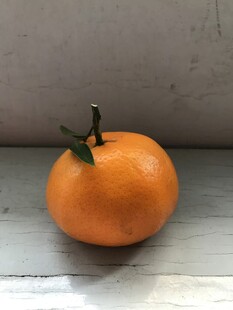 桔子 橘子