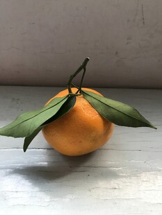 桔子 橘子