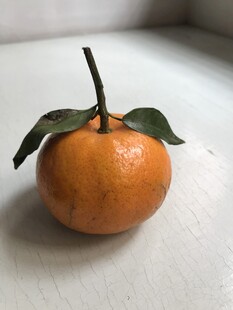 桔子 橘子