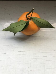桔子 橘子