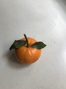桔子 橘子