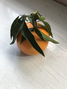 桔子 橘子