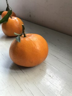桔子 橘子