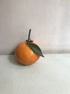 桔子 橘子