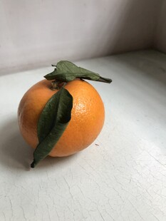 桔子 橘子