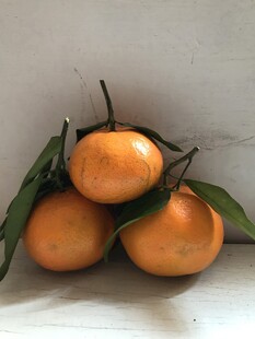 桔子 橘子