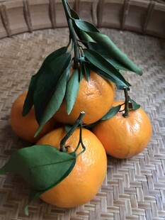 桔子 橘子