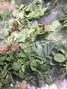 蔬菜