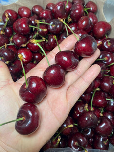 车厘子大樱桃