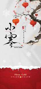 小寒节气海报