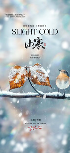 地产小寒大寒节气海报