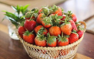 草莓