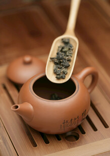 功夫茶 冲茶 