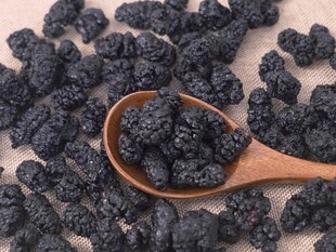 桑葚干