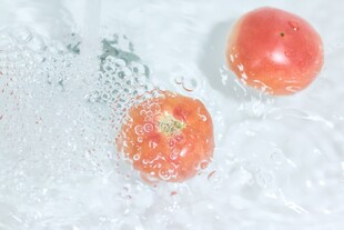 西红柿 番茄