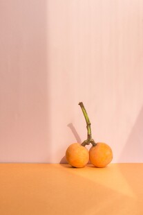 枇杷