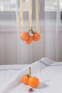枇杷