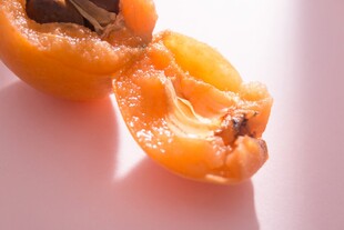 枇杷