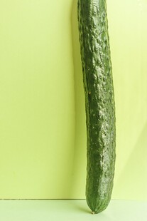 黄瓜
