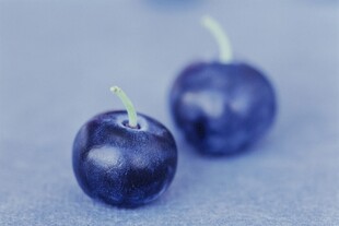 蓝莓