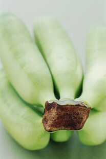 香蕉