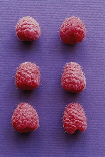 树莓
