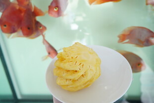 凤梨 菠萝