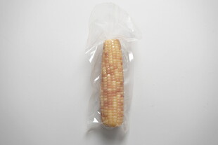 玉米