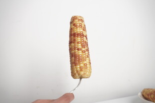 玉米
