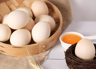 鸡蛋